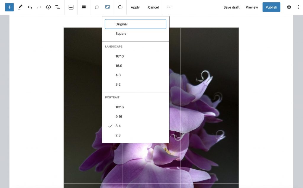 Schermata per modificare un'immagine con WordPress 5.5