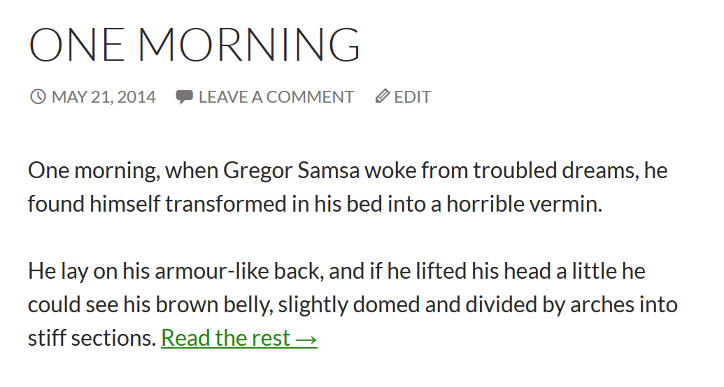 Come Modificare la Lunghezza del Riassunto in WordPress